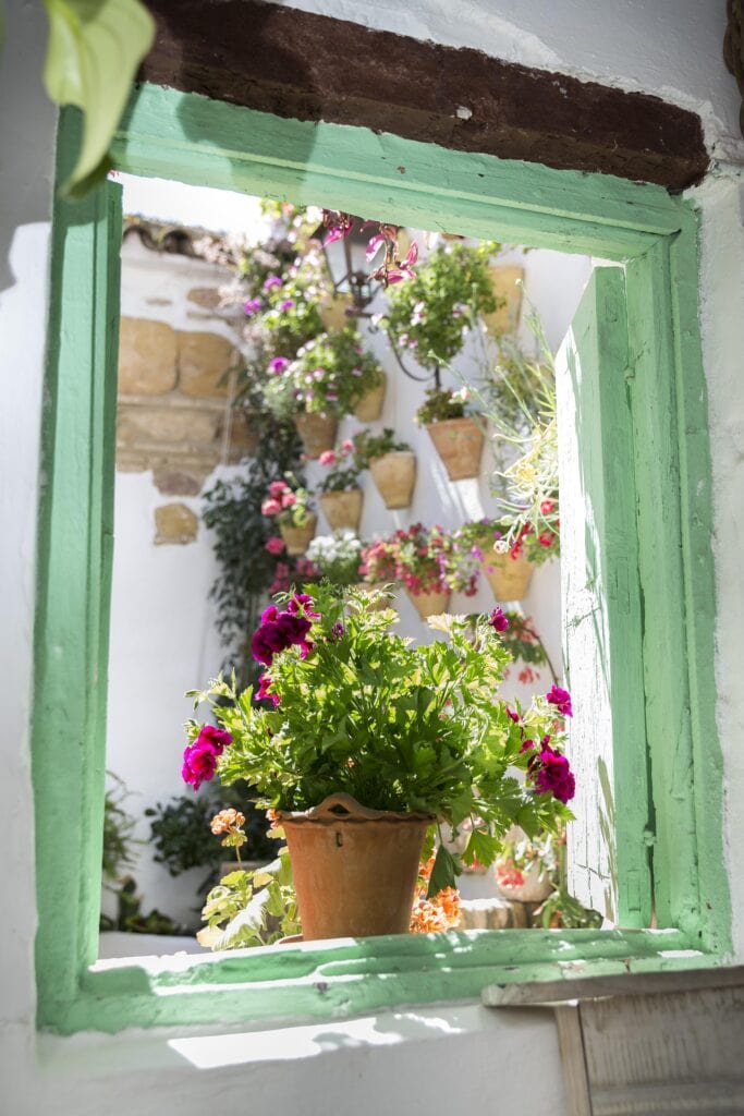 Cordoba-Spain-flower-patio-window