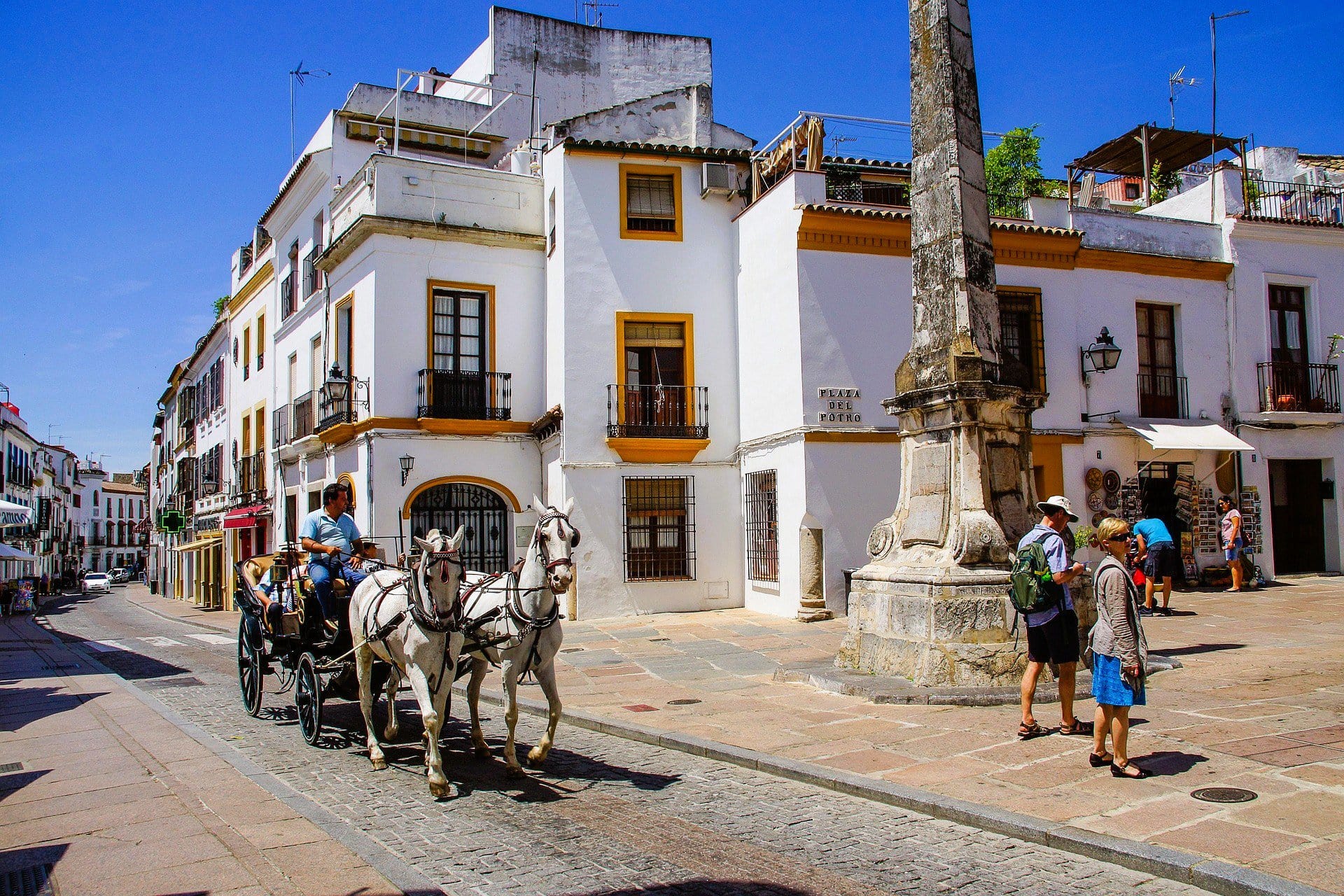 Cordoba-Spain-horse