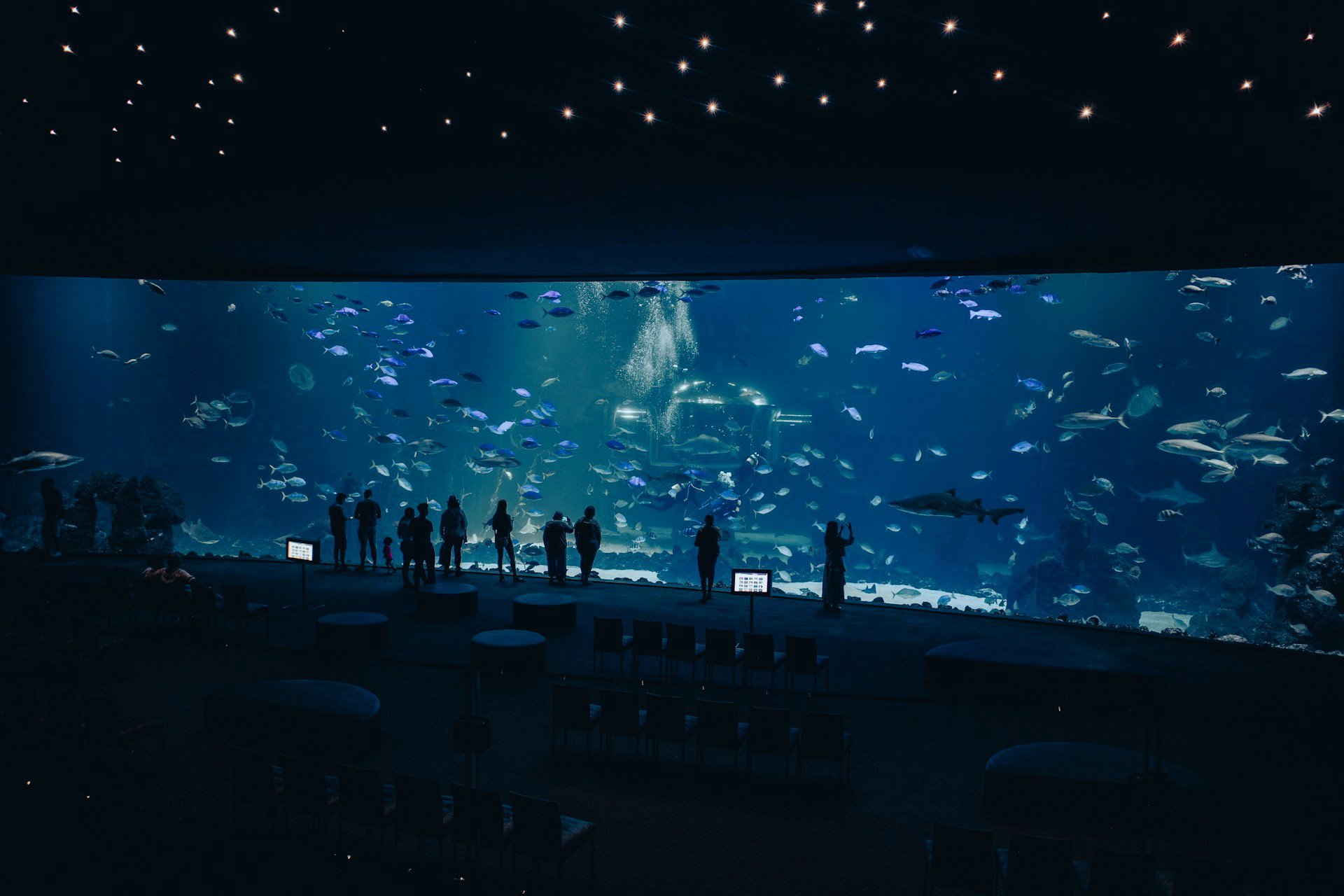 Las-Palmas-de-Gran-Canaria-Aquarium-Poema-del-Mar