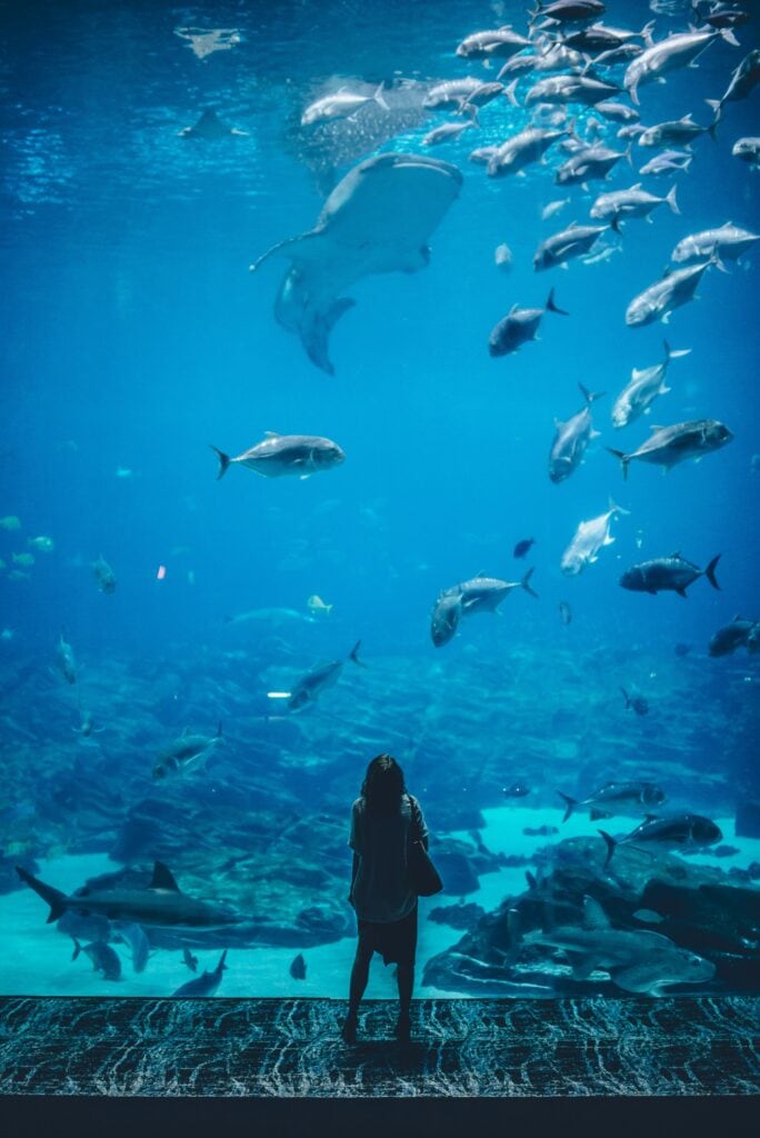 Palma-de-Mallorca-Spain-Palma-Aquarium